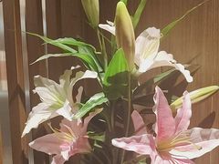 -鑫小城故事·藕汤·家常菜(台北一路总店)