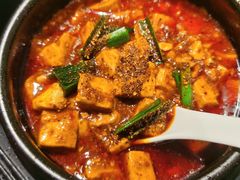 -陈麻婆豆腐总店