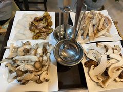 菌菇拼盘-蘑统田下·野生菌火锅