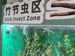 -上海大自然野生昆虫馆(东方明珠·爬宠昆虫探索中心)