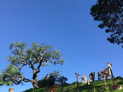 -霍比特人村