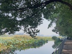 -月湖风景区