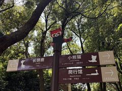 -合肥野生动物园