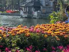 -荔湾湖公园
