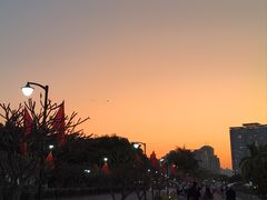 -野狸岛