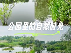 -西湖风景区-江洋畈生态公园