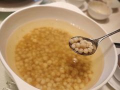 -阳澄湖费尔蒙酒店颐丰阁中餐厅(马鞍山西路店)