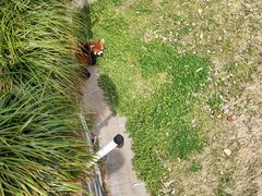 -扬州市茱萸湾风景区