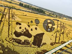 -稻梦空间冰雪小镇