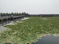 -苏州太湖国际会议中心