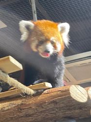 点击看大图 -Zoolung Zoolung动物主题公园(海信广场店)