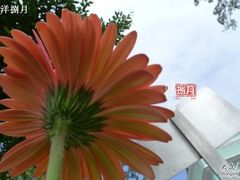 -龙环葡韵住宅式博物馆