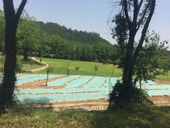 -黄陂区野村谷景区