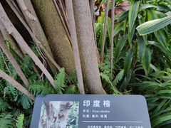 -北京植物园-展览温室