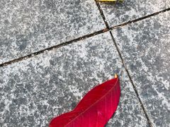 -天河体育中心