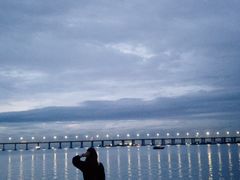 -宝安西湾红树林湿地公园