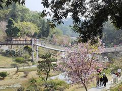 -东莞植物园