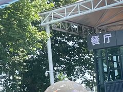 -武汉市青少年宫水上世界