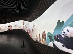 -四川大学博物馆
