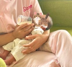 -大美母婴月子中心(吴中店)