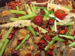 -老板恋上鱼(恒隆广场店)