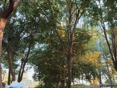 -尚庄度假村·庭台树下·户外烧烤·团建CS·轰趴营地(上庄水库店)