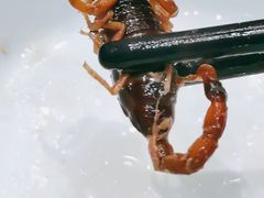 -珍味汤馆·潮汕家乡菜(保利文化广场店)