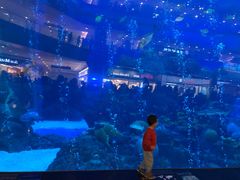 -成都浩海立方海洋公园