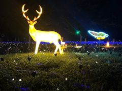 -云幽谷旅游区