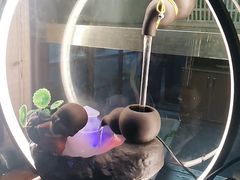 -李东农庄(中南百草园地标店)