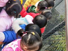 -希希家·托婴服务(西村店)