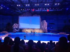 -华夏文旅海洋公园