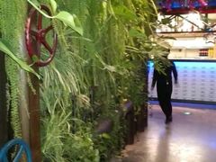 -青年公社烤鸭(蜀山万象汇店)