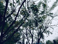 -深圳欢乐谷