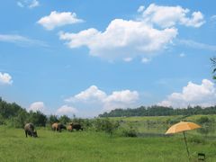 -迪卡侬(西华店)