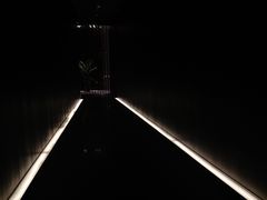 -wann lounge 低温慢煮牛排·清吧