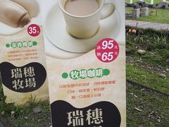 -瑞穗牧场