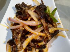 -确喜美味小厨(西单商场兰州店)