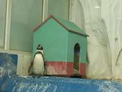 -太平洋海底世界