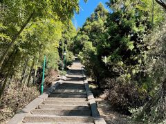 -长沙黑麋峰国家森林公园
