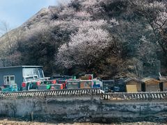 -黄土店站