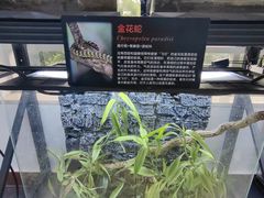 -中国科学院西双版纳热带植物园