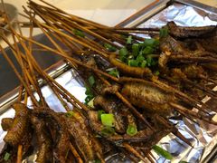 -晓靖轩烧烤(沙河风情店)