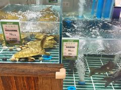 -老阿爸鲜鱼土菜(园区永旺店)