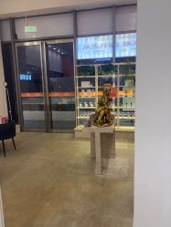 点击看大图 -润复丝·泽发防脱头皮管理