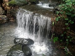 -水濂山森林公园