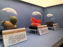 -岳阳市博物馆