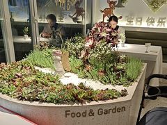 -春树下·树屋花房西餐厅(罍街AS1980店)