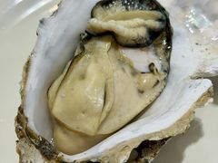 最后换的新鲜蚝-东江海鲜大排档·潮汕菜·砂锅粥