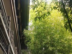 -罔极寺